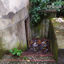 фото из отзыва ID 2664562