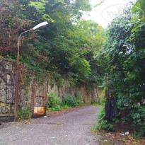 фото из отзыва ID 2664562