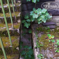 фото из отзыва ID 2664562