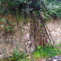 фото из отзыва ID 2664562