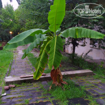 фото из отзыва ID 2664562