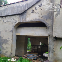 фото из отзыва ID 2664562