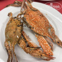 фото из отзыва ID 2664560