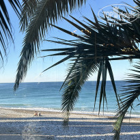 фото из отзыва ID 2664593