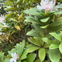 фото из отзыва ID 2664593