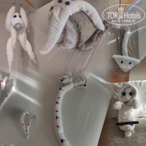 фото из отзыва ID 2664610