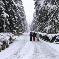 фото из отзыва ID 2664613