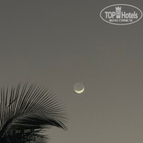 фото из отзыва ID 2664660