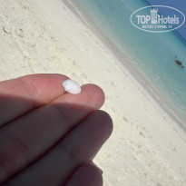 фото из отзыва ID 2664660