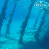 фото из отзыва ID 2664673