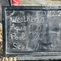 фото из отзыва ID 2664673