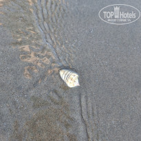 фото из отзыва ID 2664673