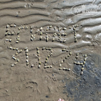 фото из отзыва ID 2664673