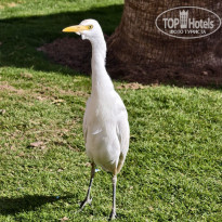 фото из отзыва ID 2664673