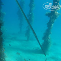 фото из отзыва ID 2664673