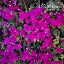 фото из отзыва ID 2664673