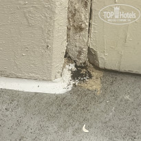 фото из отзыва ID 2664704