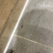 фото из отзыва ID 2664704