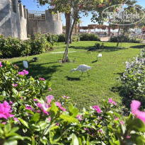 фото из отзыва ID 2664704