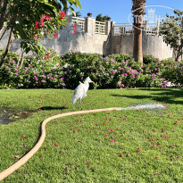 фото из отзыва ID 2664704