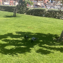 фото из отзыва ID 2664704