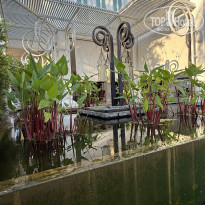 фото из отзыва ID 2664718