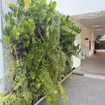 фото из отзыва ID 2664718