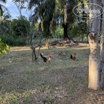 фото из отзыва ID 2664718