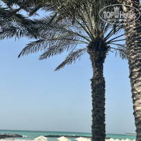 фото из отзыва ID 2664729