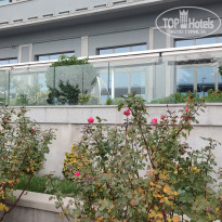 фото из отзыва ID 2664701