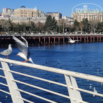 фото из отзыва ID 2664701