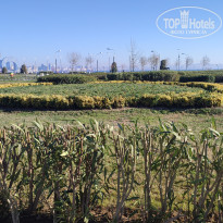 фото из отзыва ID 2664701