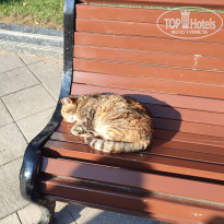 фото из отзыва ID 2664701