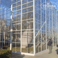 фото из отзыва ID 2664701