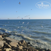 фото из отзыва ID 2664701