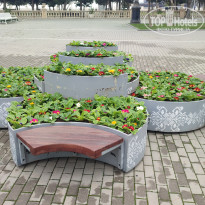 фото из отзыва ID 2664701