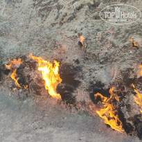 фото из отзыва ID 2664701