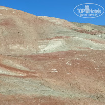 фото из отзыва ID 2664701