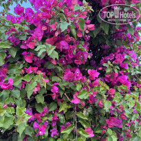 фото из отзыва ID 2664769