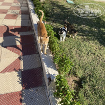 фото из отзыва ID 2664806