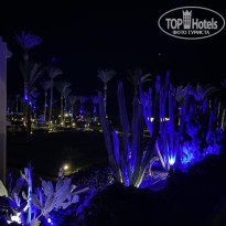 фото из отзыва ID 2664806