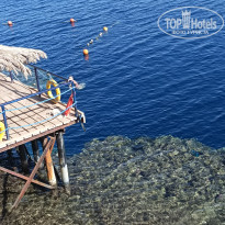 фото из отзыва ID 2664850