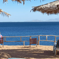 фото из отзыва ID 2664850