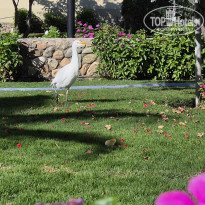 фото из отзыва ID 2664852