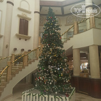 фото из отзыва ID 2664941