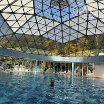 фото из отзыва ID 2664943