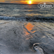 фото из отзыва ID 2664953