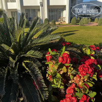 фото из отзыва ID 2664986