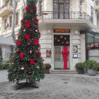 фото из отзыва ID 2664701