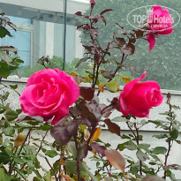 фото из отзыва ID 2664701